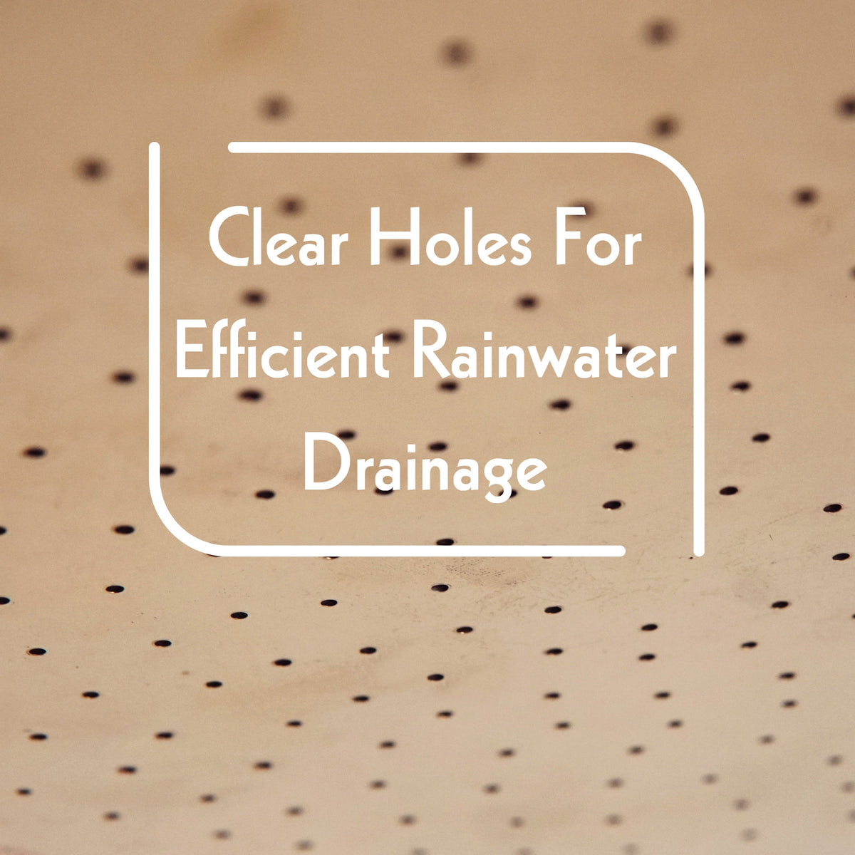 Unlacquered Solid Brass Rain Shower Head, Rose Shower Head